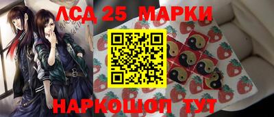 стаф Можга