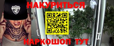 стаф Можга