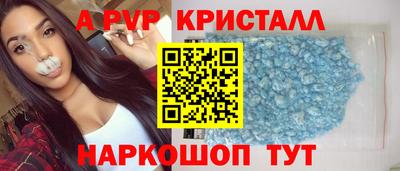 стаф Можга