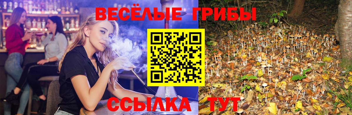 Галлюциногенные грибы Magic Shrooms Троицк