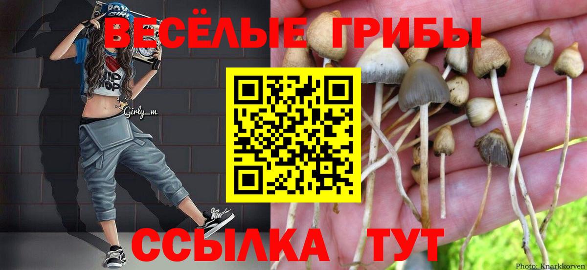 Троицк  Галлюциногенные грибы Magic Shrooms  Галлюциногенные грибы GOLDEN TEACHER  Вход с VPN 